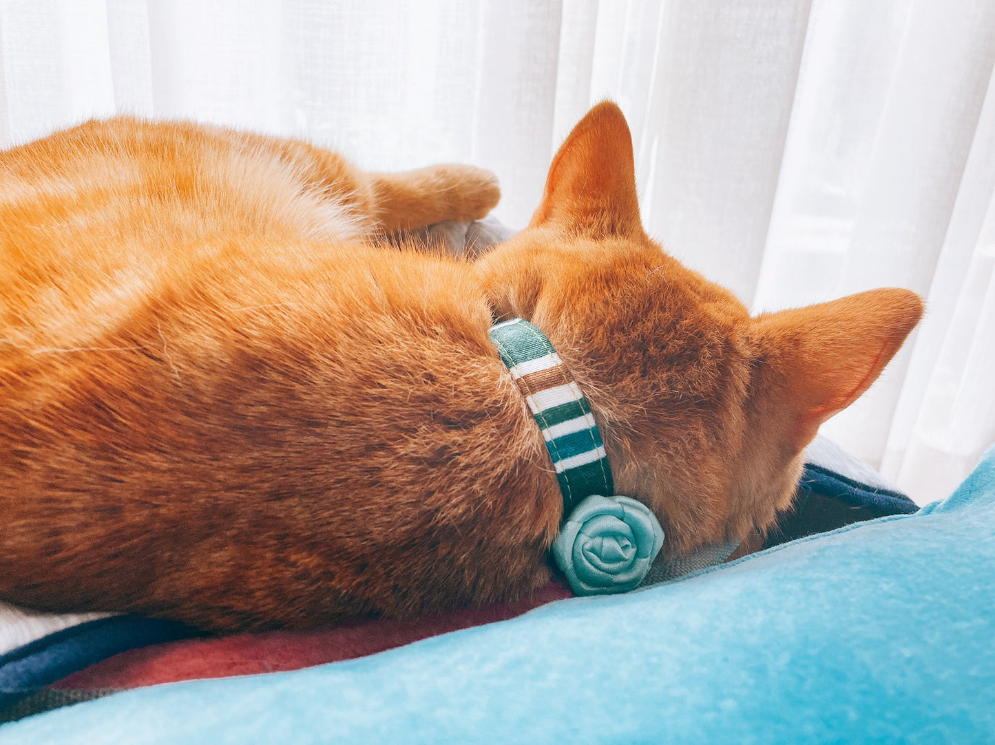 【SサイズMサイズ】ねこの首輪 ねこたい nekotie ストライプ ローズモチーフタイ 4カラー 暮らすぱいす