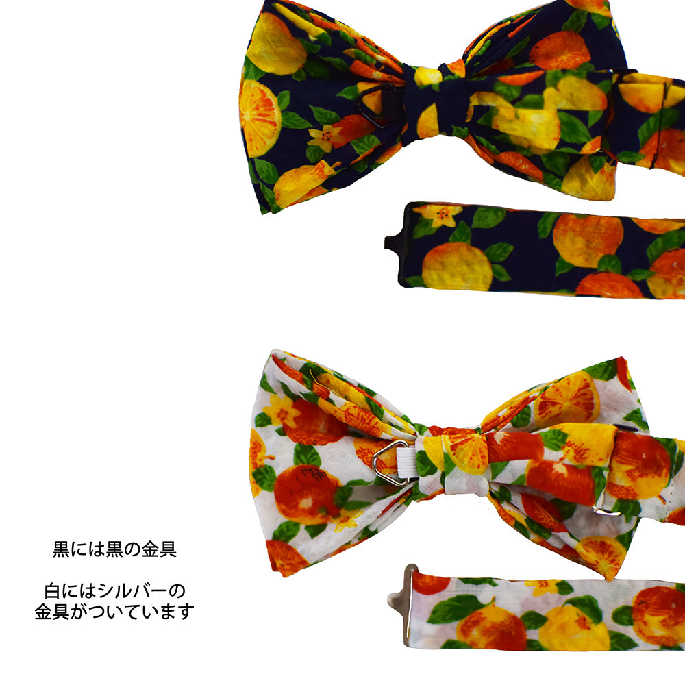 蝶ネクタイ スクエアコットン  みかん柄２カラー 【暮らすぱいす】